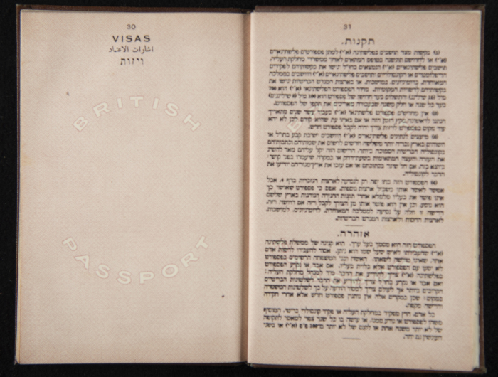 A Photograph of Nuhail Bsharah's Passport 