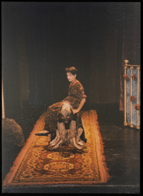 The Beauty and the Beast Play 1993