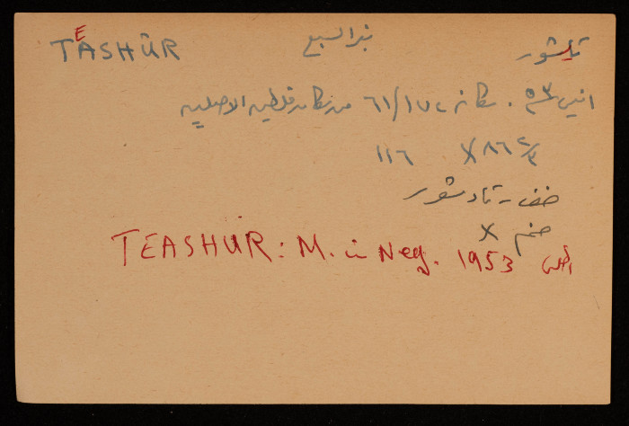 A Paper Clipping Documenting the Hebrew Spelling of Teashur, Bir al-Sabi'