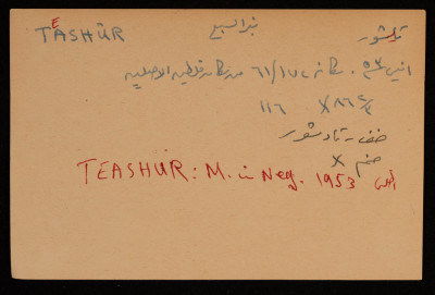 A Paper Clipping Documenting the Hebrew Spelling of Teashur, Bir al-Sabi'