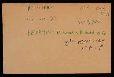 A Paper Clipping Documenting the Hebrew Spelling of Peduyim, Bir al-Sabi