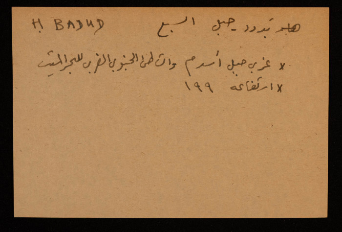 قصاصة توثق الإسم العبري لجبل بَدود على الشاطئ الجنوبي الغربي للبحر الميت