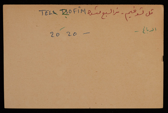 A Paper Clipping Documenting the Hebrew Spelling of Tel Tzofim, Bir al-Sabi'
