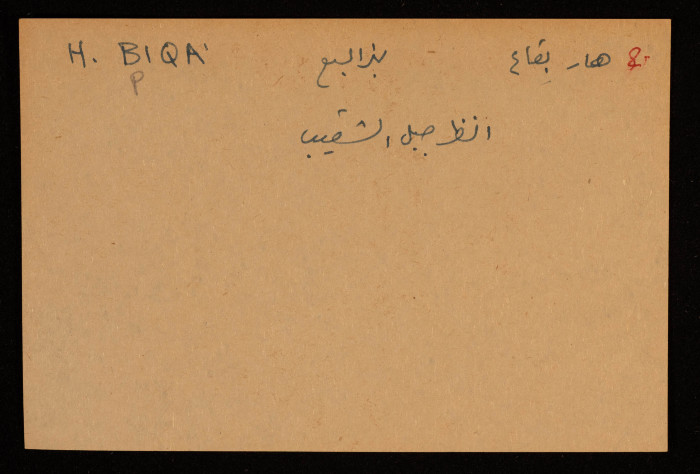 قصاصة توثق الإسم العبري لجبل هار بقاع في بئر السبع