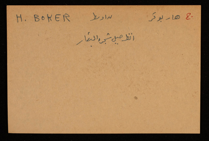 قصاصة توثق الإسم العبري لجبل شجرة البقار في بئر السبعِ