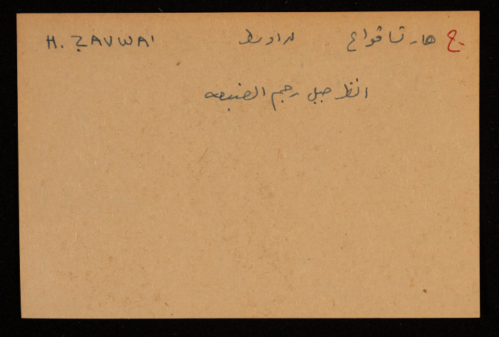 قصاصة توثق الإسم العبري لجبل هاتسافواع في بئر السبع