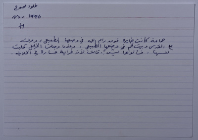 A card documenting a joke entitled "The Pigeon and Hebron City"