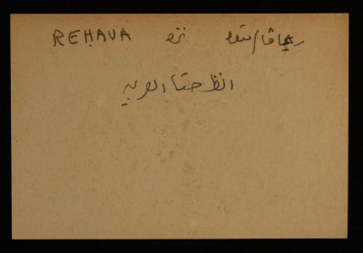 قصاصة توثق الإسم العبري لريهافا