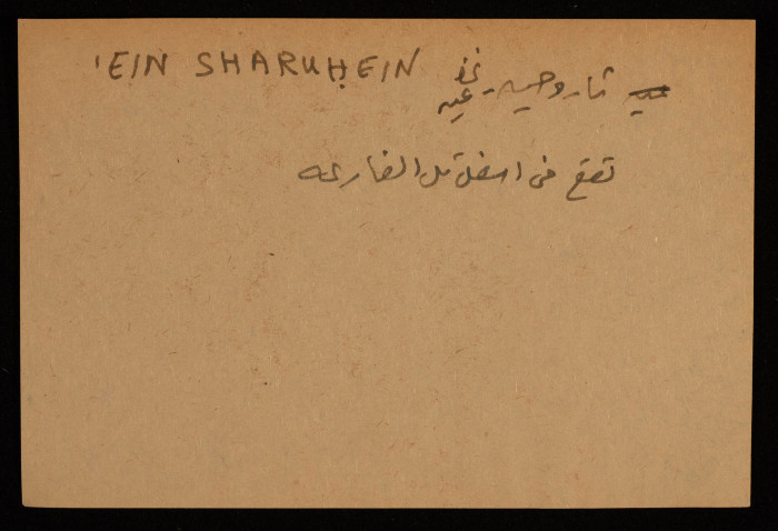 عادل الزواتي، 