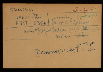 A Paper Clipping Documenting the Spelling of "Simsim", a Village Northeast of Gaza