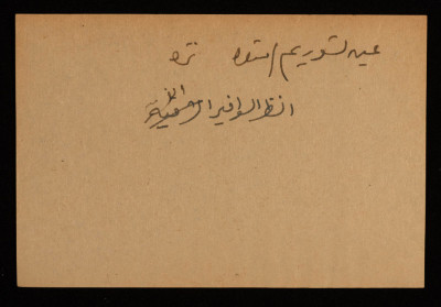 A Paper Clipping Documenting the Spelling of "Ein Tzurim", a Colony Established on the Depopulated Village of al-Sawafir al-Sharqiyya in Gaza 
