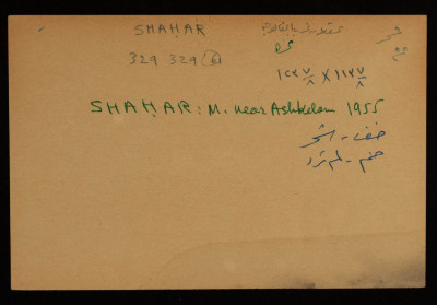 A Paper Clipping Documenting the Spelling of "Shahar", a Colony Established on the Depopulated Village of al-Faluja in Gaza 
