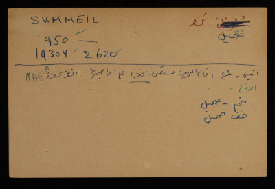 A Paper Clipping Documenting the Spelling of "Summil", a Village North of Gaza
