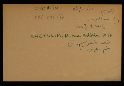A Paper Clipping Documenting the Spelling of "Shetulim", a Colony Established on the Depopulated Village of Barqa in Gaza 

