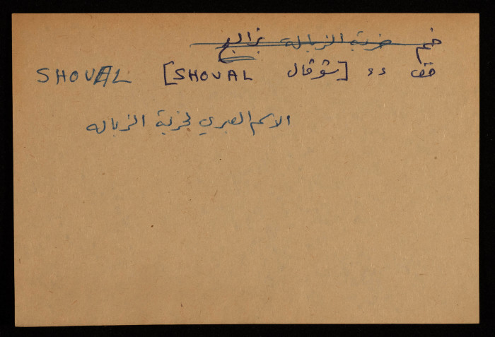 عادل الزواتي، قرية 