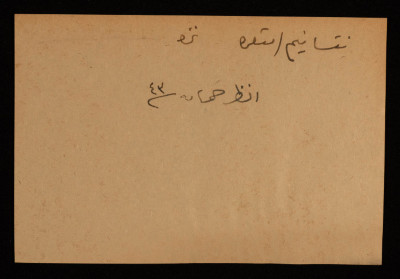 A Paper Clipping Documenting the Spelling of "Netzarim", a Colony Established on the Depopulated Village of Hamama North of Gaza	
