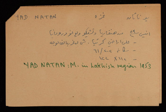 عادل الزواتي، قرية 