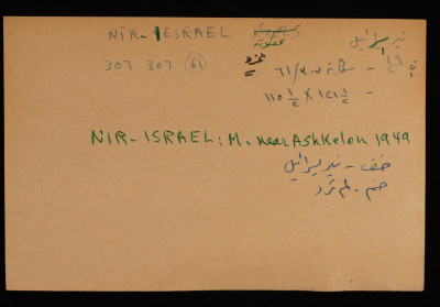 A Paper Clipping Documenting the Spelling of "Nir-Israel", a Colony Established in Askalan 