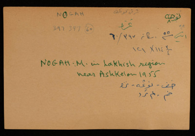 A Paper Clipping Documenting the Spelling of "Nogah" Colony