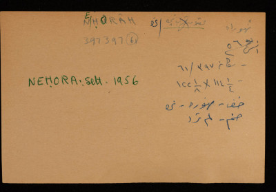A Paper Clipping Documenting the Spelling of "Nehora", a Colony Established on the Depopulated Village of Karatiyya in Gaza 

