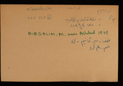 A Paper Clipping Documenting the Spelling of "Nirgalim", a Colony Established in Ashdod