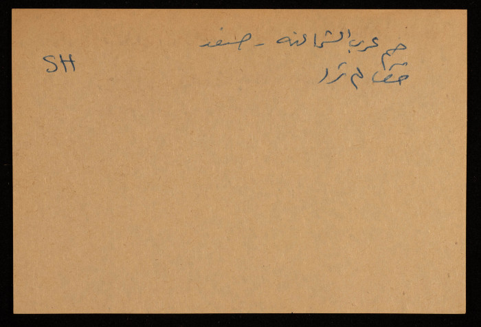 قصاصة توثق وادي 