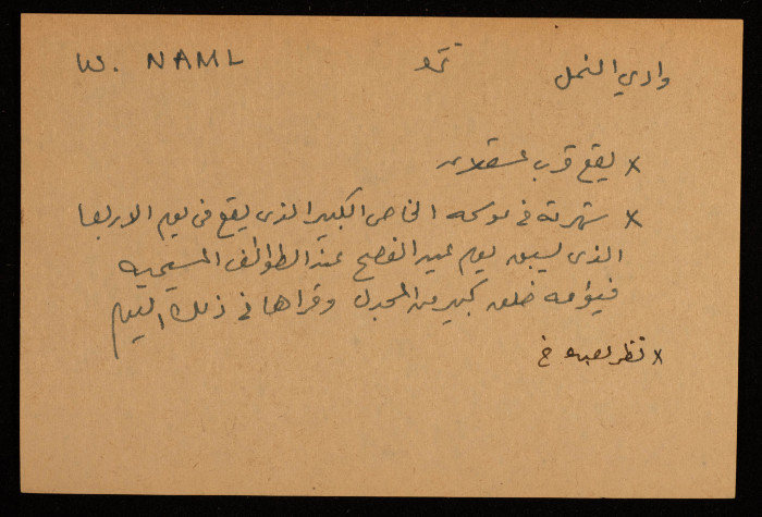 قصاصة توثق وادي 