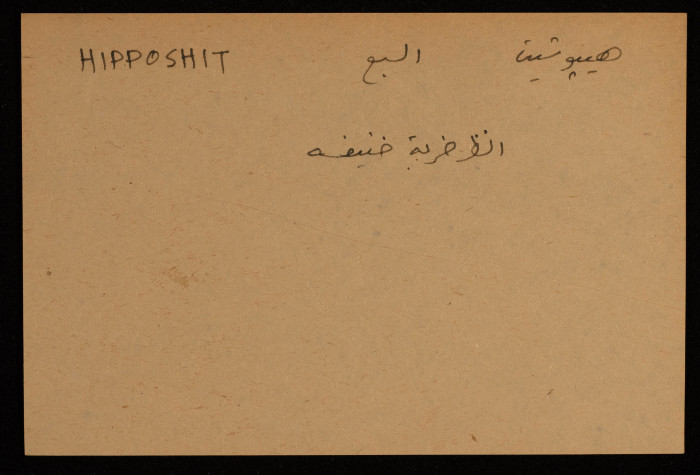 عادل الزواتي، 