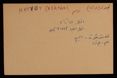 A Paper Clipping Documenting the Spelling of "Netvot", a Colony Established Between Bir al-Sabi