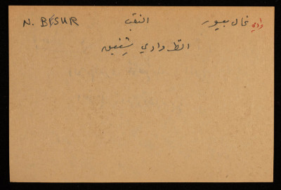A Paper Clipping Documenting the Spelling of "Wadi Besur", the Negev 