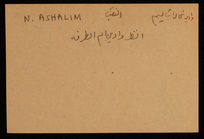 قصاصة توثق وادي 