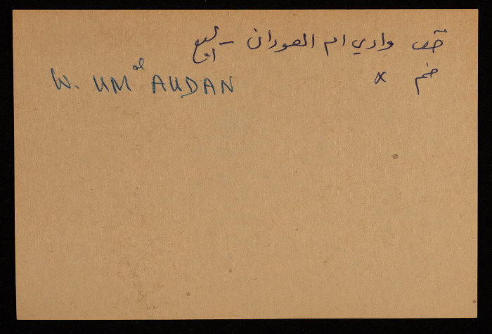 قصاصة توثق اسم وادي 
