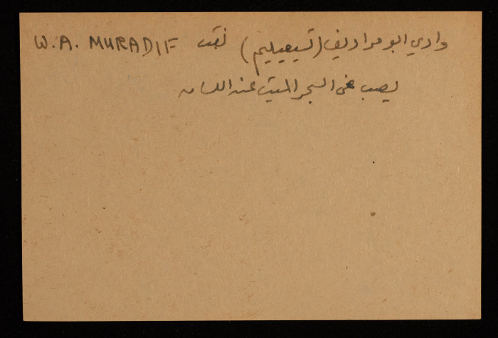 قصاصة توثق اسم وادي 