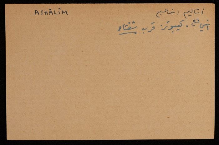 عادل الزواتي، كيبوتس 