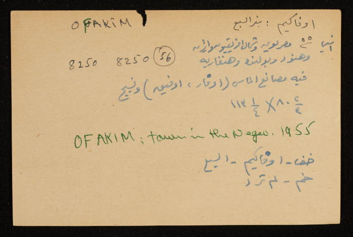 مستعمرة 