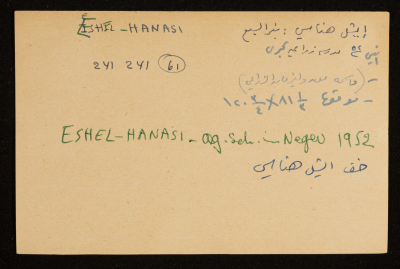"إيشل هناسي"؛ مدرسة زراعية كبرى أقيمت على أراضي النقب عام 1952