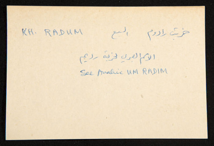 عادل الزواتي، 