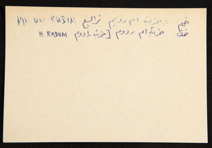عادل الزواتي، 