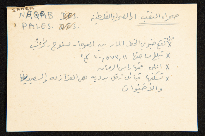 عادل الزواتي، 