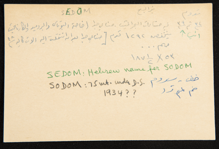 عادل الزواتي، 
