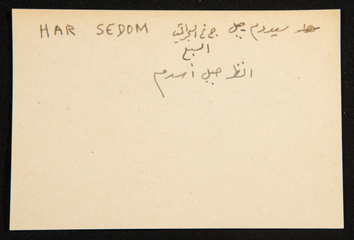 عادل الزواتي، 