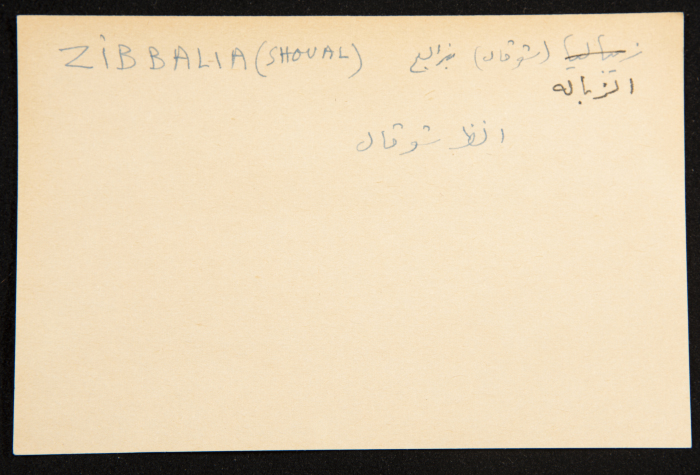 عادل الزواتي، 