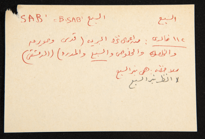 عادل الزواتي، مدينة 