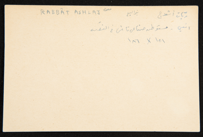عادل الزواتي، 