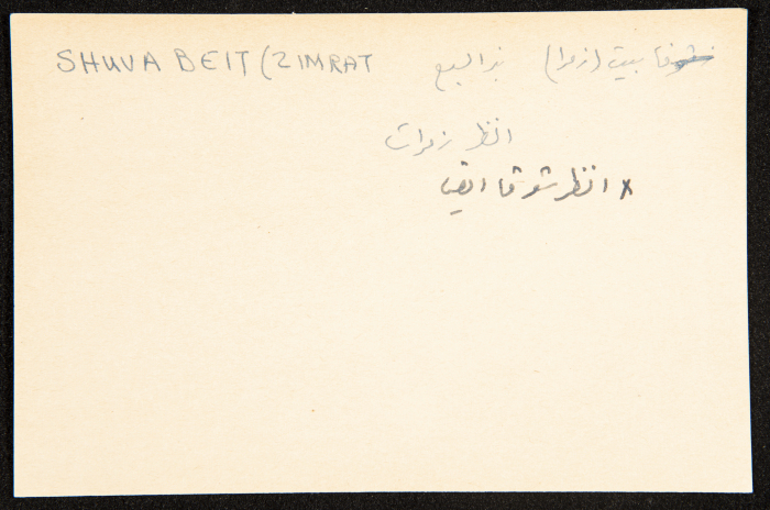 عادل الزواتي، 