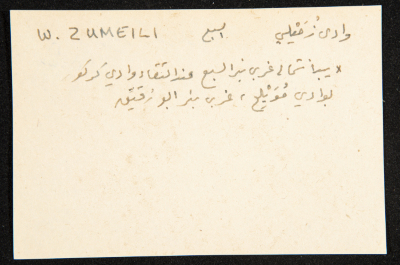 "Wadi Zumeili", ʿĀdel az-Zawaty, a Paper Clipping
