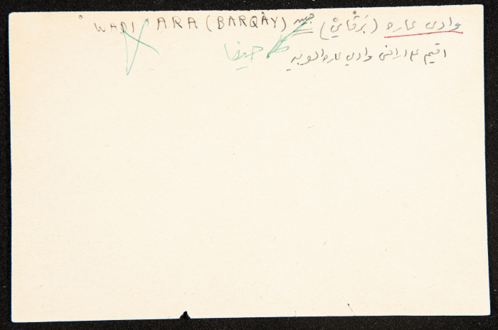 عادل الزواتي، 