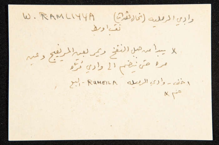 عادل الزواتي، وادي 