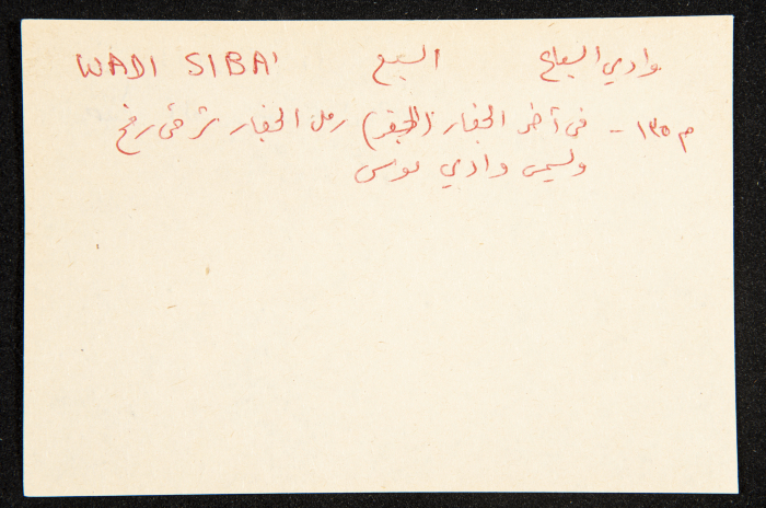 عادل الزواتي، وادي 