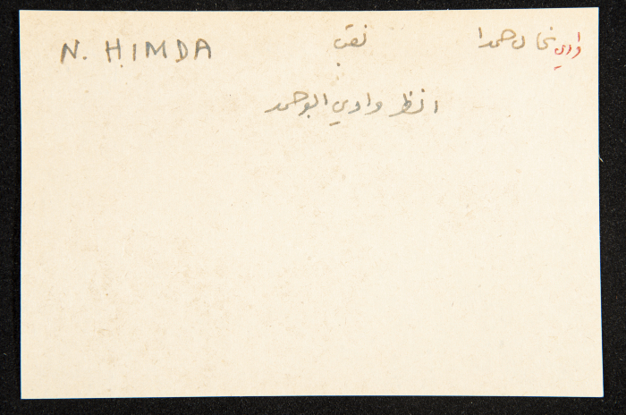 عادل الزواتي، وادي 